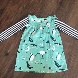 Tea Collection 18-24 month birds dress